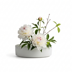 סידור פרחים אלון לבן