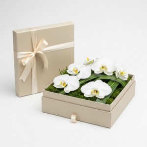 מארז מתנה יער רך