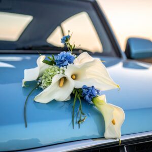 קישוט לרכב אוריין