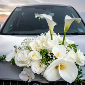 קישוט לרכב ברבור