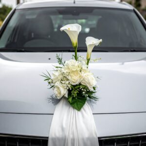 קישוט לרכב ים