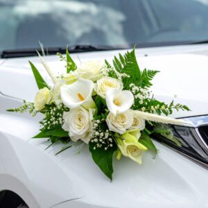 קישוט לרכב ישי