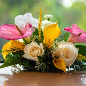 קישוט לרכב חי