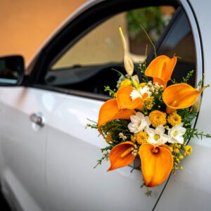 קישוט לרכב כתמתם