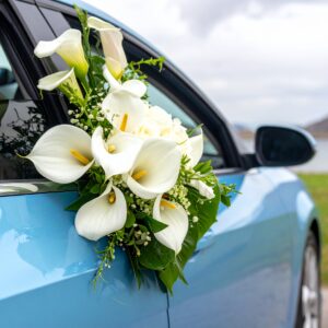 קישוט לרכב דורון