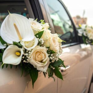 קישוט לרכב רובי