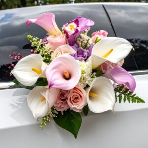 קישוט לרכב ציפי